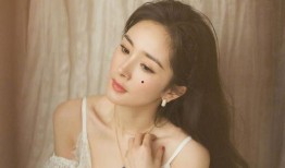 明星娱乐吃瓜直播间视频,揭秘娱乐圈幕后故事