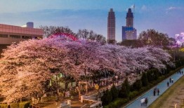 吃瓜抖音网红西昌